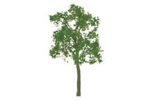 94116 (ASH-50 / Cat. pack of 3)